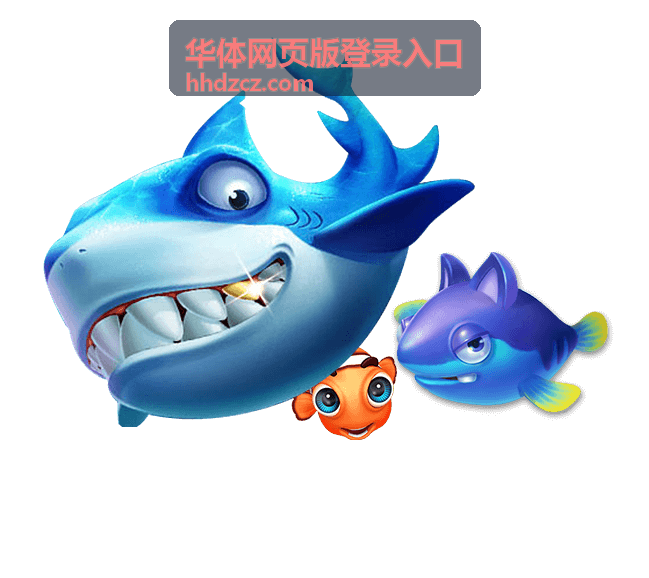 华体体育平台篮球赛事在线观看指南